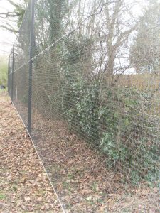 Netting on the tree line at Bushley Golf Club
