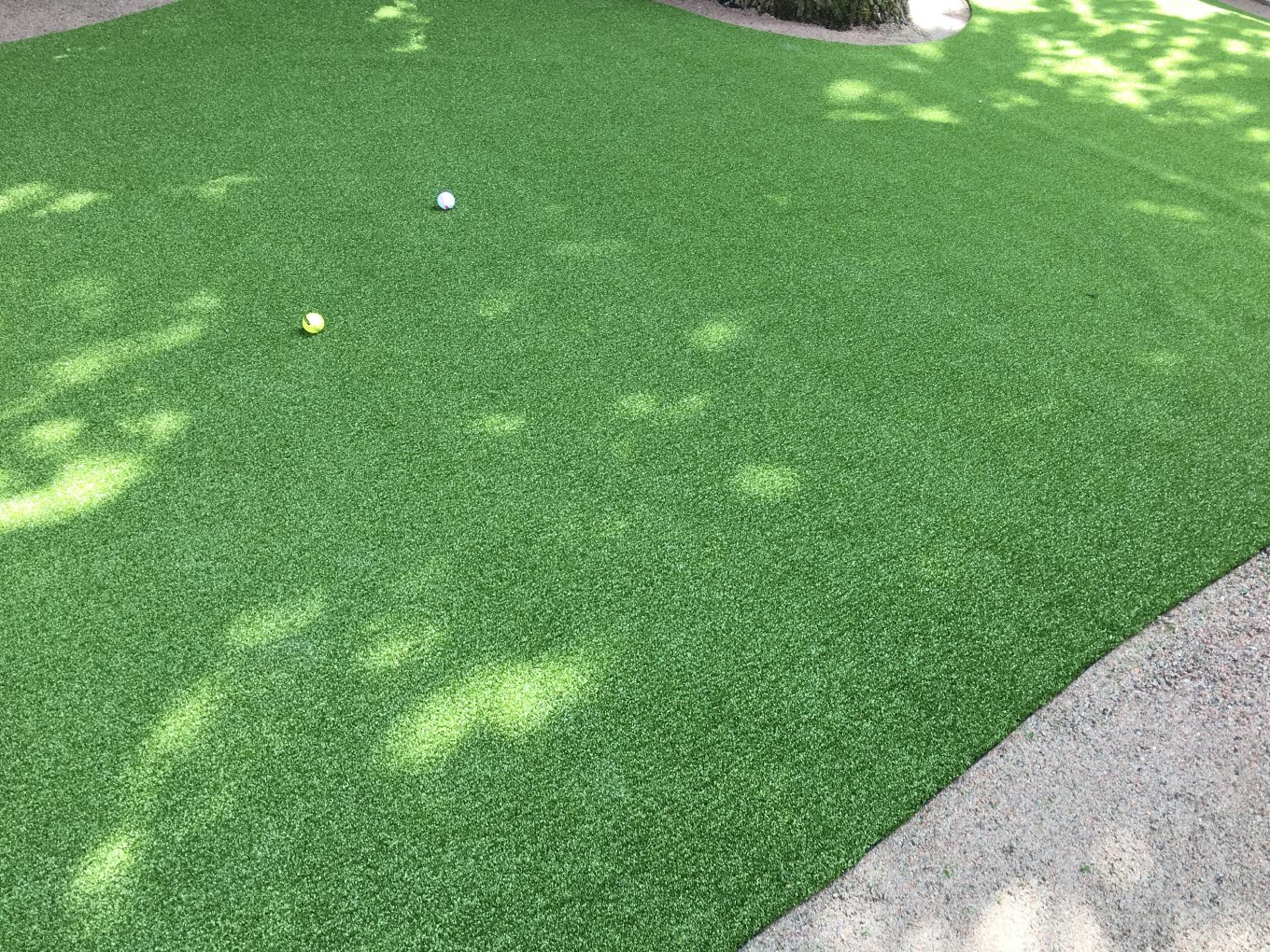 Golf Putting Grass