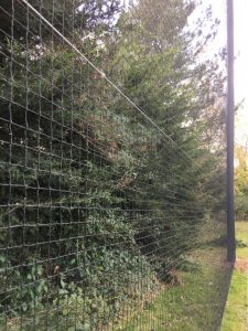 Golf Netting